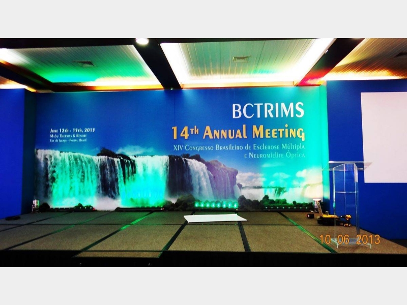 12 a 15/06/13 BCTRIMS 14Th ANNUAL MEETING