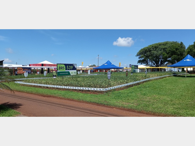 07 a 11/02/22 SHOW RURAL COOPAVEL 2022 - CASCAVEL PR